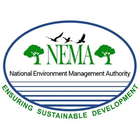 nem